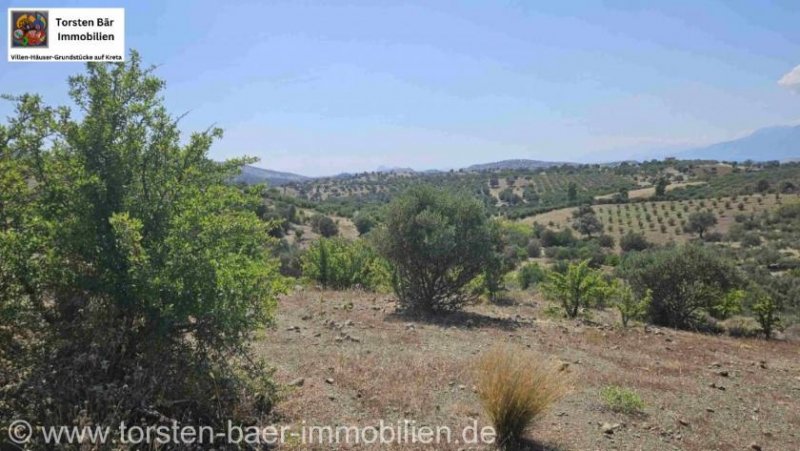 Listaros Kreta, Listaros, Grundstück von 2.050m². Grundstück kaufen
